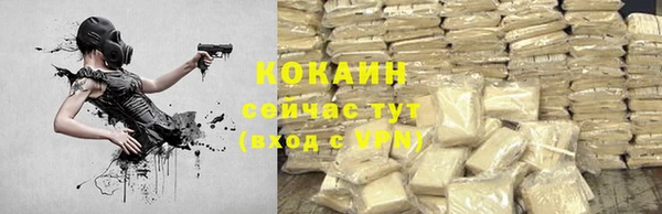 гидропоника Гусь-Хрустальный