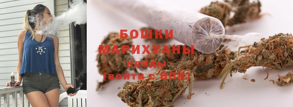 ГАЛЛЮЦИНОГЕННЫЕ ГРИБЫ Гусиноозёрск