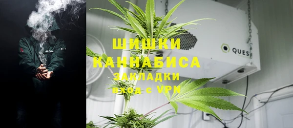 ГАЛЛЮЦИНОГЕННЫЕ ГРИБЫ Гусиноозёрск
