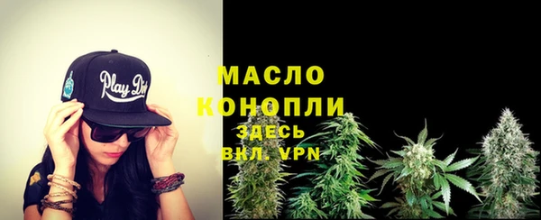 первитин Гусев