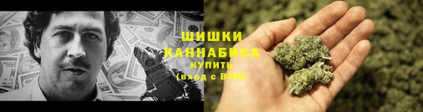 ГАЛЛЮЦИНОГЕННЫЕ ГРИБЫ Гусиноозёрск