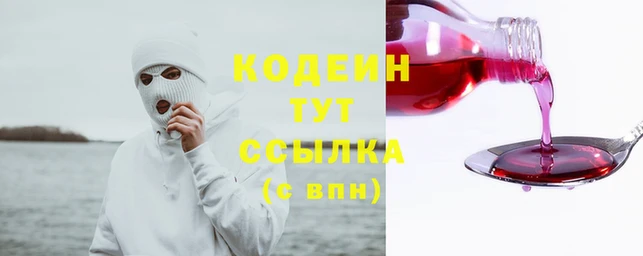 первитин Гусев