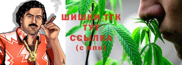 ГАЛЛЮЦИНОГЕННЫЕ ГРИБЫ Гусиноозёрск