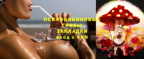 первитин Гусев