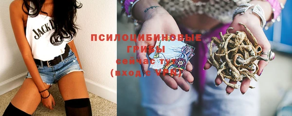 первитин Гусев
