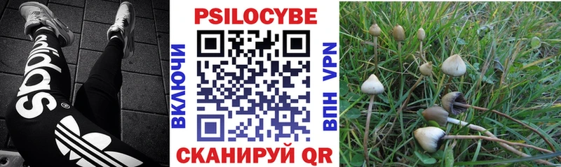 Галлюциногенные грибы Cubensis  Шимановск 